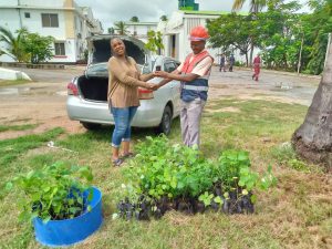 Read more about the article 500 seedlings donated to Saint Joseph School
